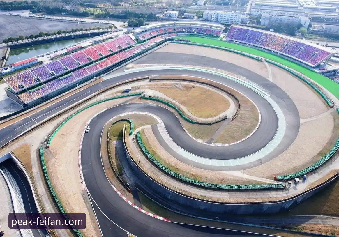 非凡体育2024版vs2026最新版本：老用户告诉你该选哪个