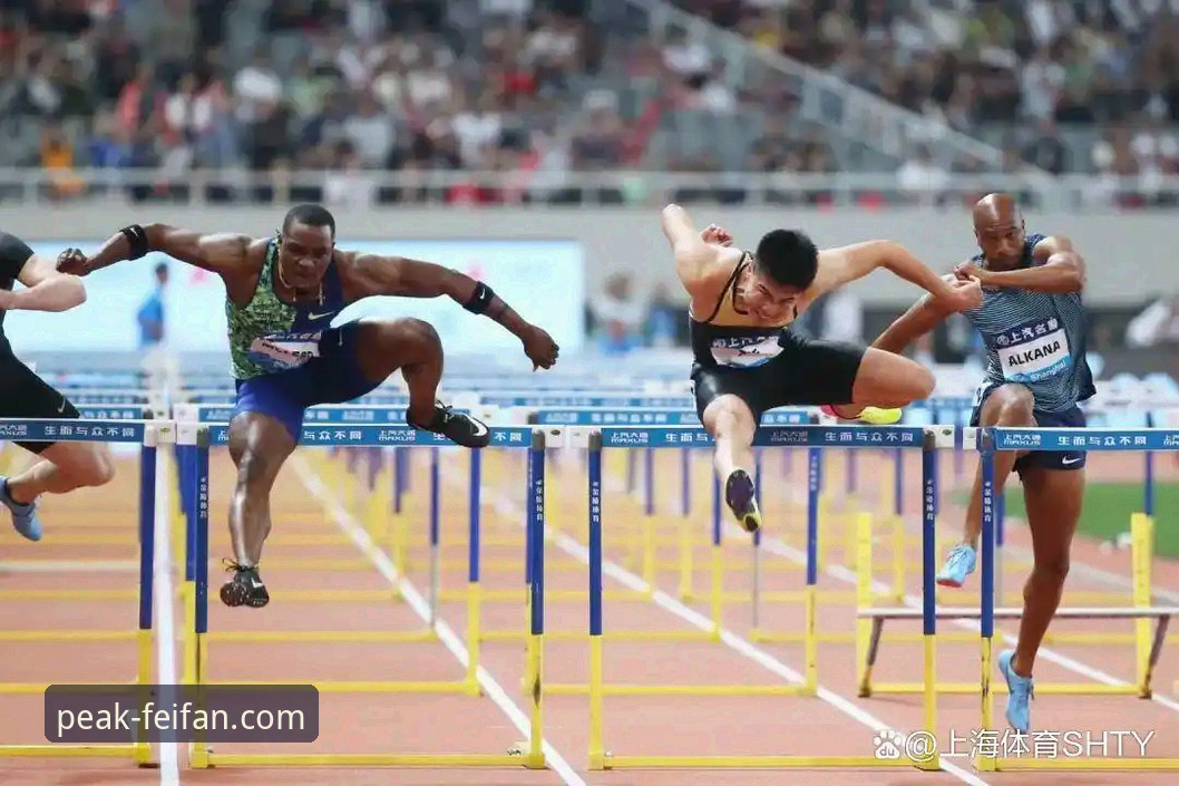 非凡体育安卓版：高清观赛与实时追踪的实用指南